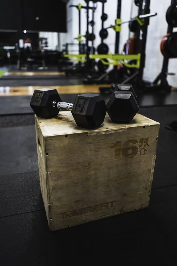 Área de cardio FitZone Gym